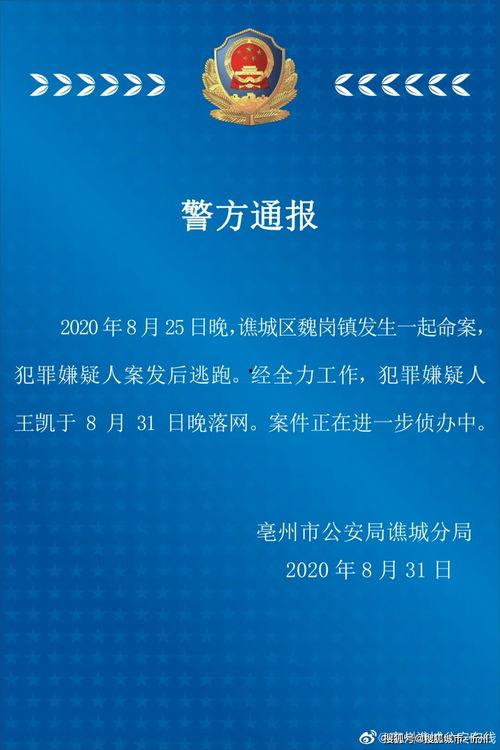 大学最新爆料案件大全视频,视频曝光校园风云录 第3张 大学最新爆料案件大全视频,视频曝光校园风云录 第3张